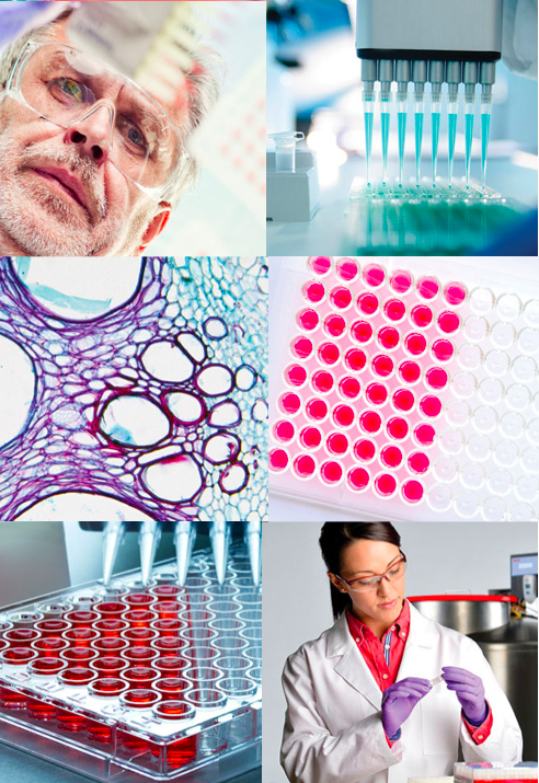 Microplate Technology Resource Guide Lab Manager - Premium Vintage Photo Gallery - Retina